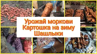 💪ВЫКОПАЛИ 🥕МОРКОВЬ/👍Купили🥔 КАРТОШКУ на зиму/🤤Спонтанные ШАШЛЫКИ/