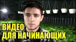 С чего начать цветочный бизнес?