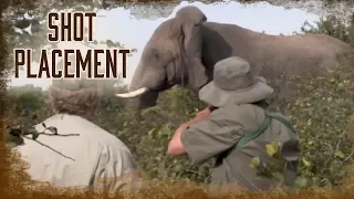 Shot Placement on Elephants | 6