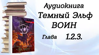 Глава 1.2.3. из 25  Аудиокнига "Воин". Цикл "Темный Эльф" Роберт Сальваторе.