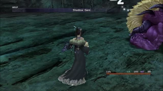 FFX HD - NSGLOSUE Part 20 - Capturing in Mt Gagazet