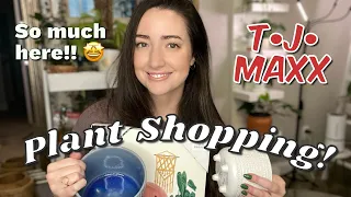 Lets Go Plant Shopping at TJ MAXX and Haul!