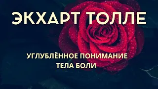 Углублённое понимание тела боли - ЭКХАРТ ТОЛЛЕ [NikOsho]