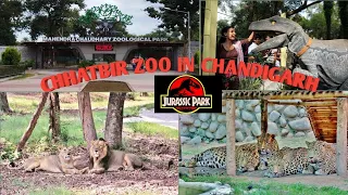 CHHATBIR ZOO IN CHANDIGARH || chattbir zoo chandigarh zoo ticket price 2023