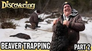 DISCOVERING | Beaver Trapping (We're checking traps and losing ice fast!)