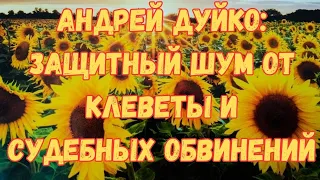 Андрей Дуйко: Защитный шум от клеветы и судебных обвинений