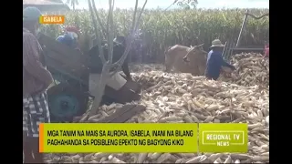 Regional TV News: Paghahanda sa Bagyo