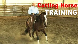 How To Train A Cutting Horse Prospect On The CowTrac Mechanical Cow Or Flag