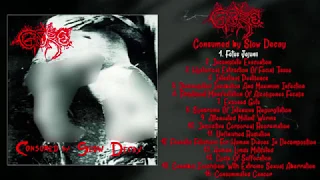 Gore - Consumed by Slow Decay FULL ALBUM (1995 - Goregrind)