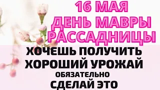 16 мая  Мавра  Рассадница | Что нельзя делать |Народные приметы