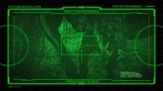 Night Vision Camera Captures Frightening Footage - Trail Cam Video - Cryptozoology News Today 2019