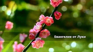 Евангелие от Луки / Глава 15