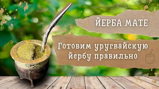 Как правильно приготовить йерба мате | Детали и тонкости | Маэстро мате