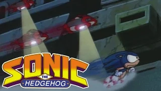 Sonic the Hedgehog 207 - Dulcy