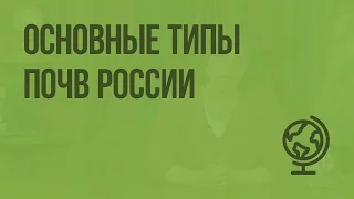 Основные типы почв России. Видеоурок по географии 8 класс