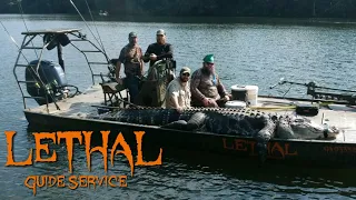 Lethal Guide Service 2020 Georgia Alligator Hunting Highlights