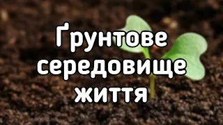 5 клас. Ґрунтове середовище життя організмів.