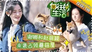 《向往的生活》第13期20170409: 赵丽颖放飞自我秒变谐星 孙红雷调皮捣蛋“玩坏”黄磊 Happy Life EP.13【湖南卫视官方频道】