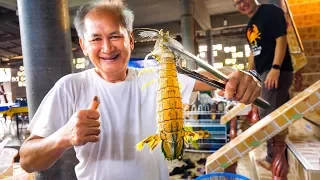 HUGE ALIEN MANTIS SHRIMP and Mud Crab!! Ultimate Thai Food Tour of Trat, Thailand!