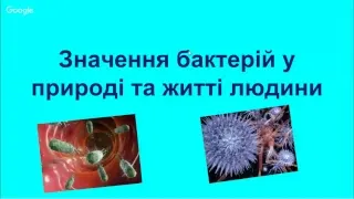 Значення бактерій у природі та житті людини