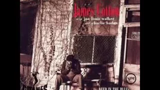 Blues in my sleep James cotton