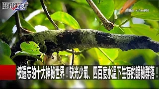 被遺忘的十大神秘世界！缺光少氧、四百度水溫下生存的詭秘群落！朱學恒 傅鶴齡20161101-4 關鍵時刻