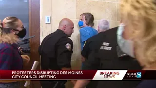 Demonstrator arrested at city council meeting