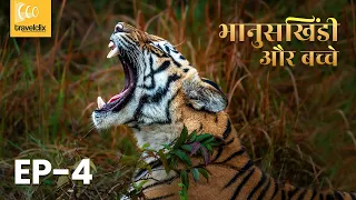 Day 4 - Best Tiger Sighting, Nimdhela Gate, Tadoba, Bhanuskhindi & cubs, 4K, नीमढेला, रामदेगी बफर