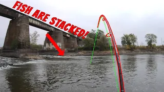 Fish are Stacked Below This Railroad Bridge! (Multi-Species Spillway Fishing)