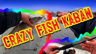 Спиннинг Crazy Fish Kaban 209cm KB692M T для твичинга воблеров. Вышел испытать и поймал двух щук.