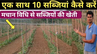 मचान विधि से सब्जियों की खेती कैसे करें संपूर्ण जानकारी | Multilayer farming in India