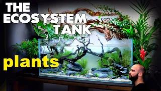 How To: Ecosystem Aquarium No Water Changes (EP3) | MD Fish Tanks