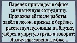 Паренёк приглядел в офисе Симпатичную Сотрудницу.   Подборка смешных Анекдотов.