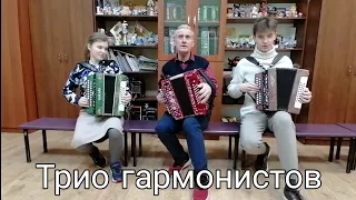 Наигрыш "Досада" на гармони. Говорухо А. М. и его ученики: Шевель Николай и  Рославцева Екатерина