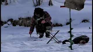 МЕСТНЫЕ ТУТ ЛОВЯТ ВЕДРАМИ, ЗИМОВАЛЬНЫЙ ОМУТ НА РУЧЬЕ !! Рыбалка на безмотылку, окунь, елец.