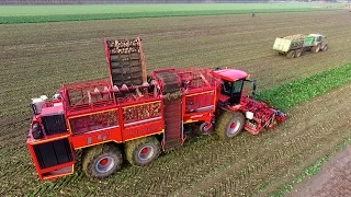 Holmer Terra Dos T4-40 & Fendt tractors | Sugarbeet lifting | Van Gemeren Mechanisatie