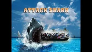 shark 4k video attack Sharks : Scavengers of the Seas