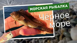 ЧТО МОЖНО ПОЙМАТЬ В ЧЕРНОМ МОРЕ В КОНЦЕ ДЕКАБРЯ. РЫБАЛКА В ПОТИ НА ЧЕРНОМ МОРЕ. ГРУЗИЯ 2022.