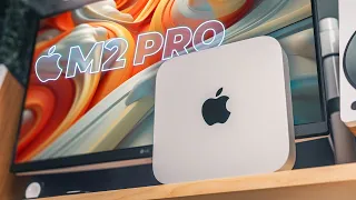 Mac Mini M2 Pro After 5 Months: What You NEED To Know!