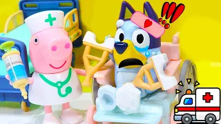 Why is Bluey Crying? - Bluey Toys - Bluey Hospital full episode