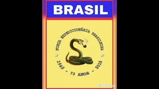 força expedicionária brasileira