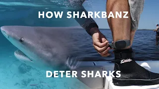 Sharkbanz Technology - How it Works - Proven Shark Deterrent