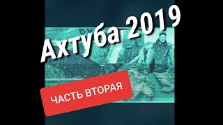 Ахтуба  трехречье 2019