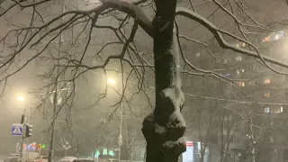 Киев накрыл сильнейший снегопад ! 09.01. 2021