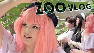 ZOO OOTING! | Spy x Family Cosplay Outing