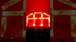 Black Tiger Sex Machine @ EDC México 2022