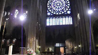 Organist warm up - Notre Dame