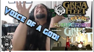 Greta Van Fleet -  Flower Power Live! - Reaction/Review