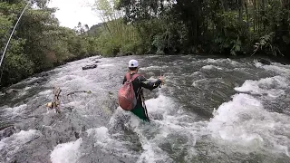 Río Risaralda parte alta pesca de trucha y sabaleta