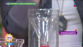 ¡Trampa casera para atrapar mosquitos! | Sale el Sol